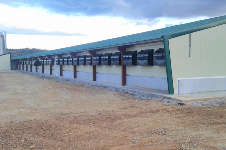 New quail farm in Spain