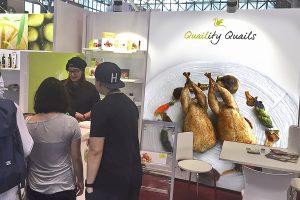 Fancy Food Urgasa